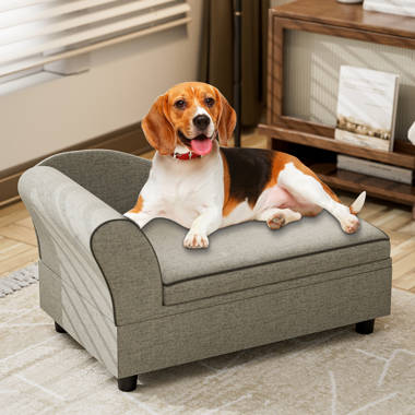 Wayfair jackson outlet dog sofa